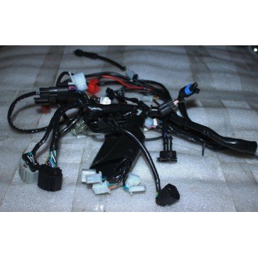 Arora Smart 50  Elektri̇k Tesi̇sati (Euro 3)